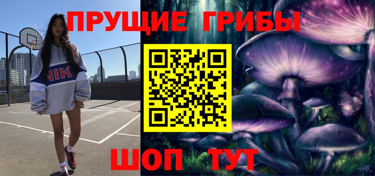 Псилоцибиновые грибы Cubensis Стрежевой
